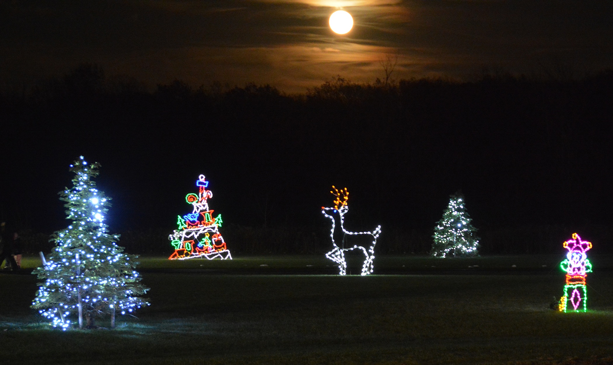 Pictured are scenes from last Friday's `Noel at Niagara` park lighting ceremony. (Photos by David Yarger and Marc Carpenter)